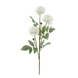 HASTE COM PEÔNIAS X3 70 CM - BRANCO
