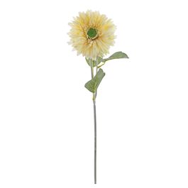 HASTE DE GÉRBERA X1 52 CM - CREME
