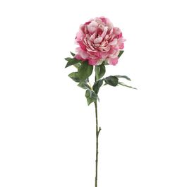 HASTE DE PEÔNIA X1 80 CM - ROSA