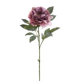 HASTE DE PEÔNIA X1 80 CM - ROXO