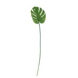 HASTE DE COSTELA DE ADÃO 78 CM - VERDE