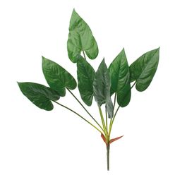 BUQUÊ DE COSTELA DE ADÃO - VERDE