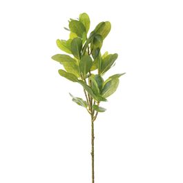 BUQUÊ DE FOLHAGENS - VERDE