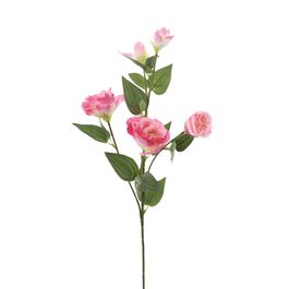 HASTE DE ROSAS - ROSA