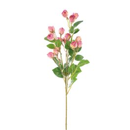 BUQUÊ DE ROSAS X15 70 CM - ROSA