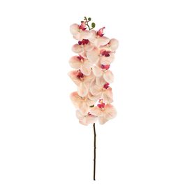 HASTE DE ORQUÍDEA X12 75 CM - LINHO