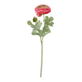 HASTE DE RANÚNULO X2 50 CM - ROSA