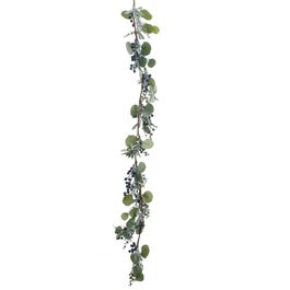 Galho Longo Folhas E Frutas Verde Roxo