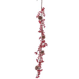 Galho Longo Com Frutas E Pinha Marrom Vermelho