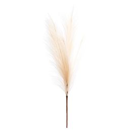 Galho Grande C/Pena Artificial Crm 60Cm