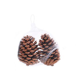 SAQUINHO COM PINHAS DECORATIVAS MARROM