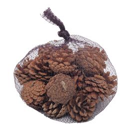 SAQUINHO COM PINHAS DECORATIVAS MARROM
