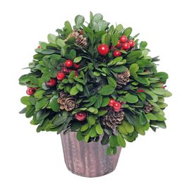 TOPIARIA COM VASO VERDE ESCURO / VERMELHO / MARROM CLARO