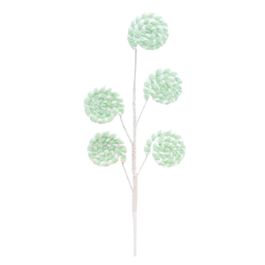 Pick 5 Candy Canes Acucarado Verde Claro Com Branco