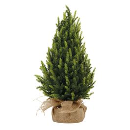 Topiaria Com Base Verde / Marrom