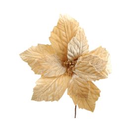 Flor Decorativa Poinsetia Champagne
