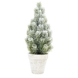 Topiaria Com Vaso Verde