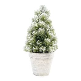 Topiaria Com Vaso Verde