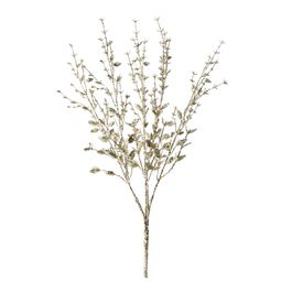 GALHOS DECORATIVOS MEDIO CHAMPAGNE