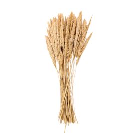 PALHA DECORATIVA BEGE