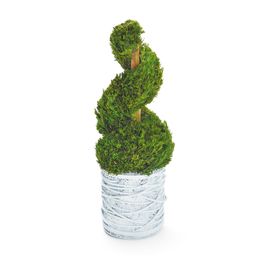 TOPIARIA VERDE