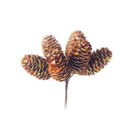 PICK DECORATIVO COM PINHAS MARROM