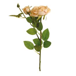 HASTE COM ROSAS X2 62 CM - CHAMPAGNE