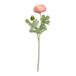 HASTE DE RANÚNULO X2 50 CM - ROSA
