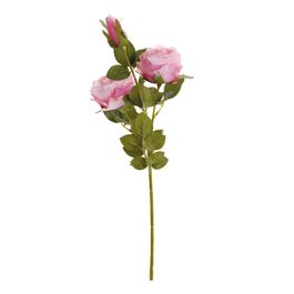 HASTE DE ROSAS X3 54 CM - PINK