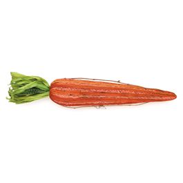 Cenoura Decorativa - Laranja / Verde (Cenouras)