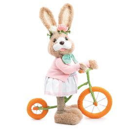 Coelha Dec Na Bicicleta Mrr/Ros/Vrd (Happy Sunday) C/1 UN