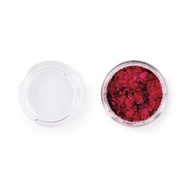 Glitter Facial e Corporal Pink 8g