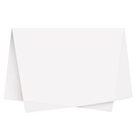 Papel Seda Liso Branco