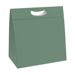 Caixa New Plus Natural Green Verde