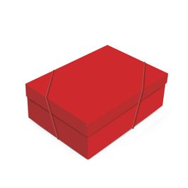 Caixa Retangular Com Tampa Charming Red Vermelho