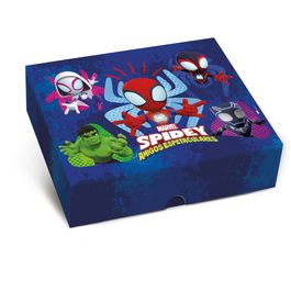 Caixa Retangular Tampa/Fundo New Spidey And Friends