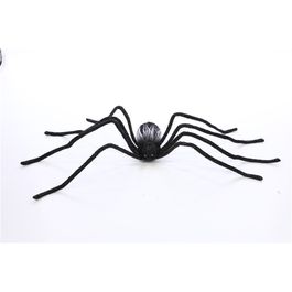 Aranha Aradia