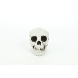 Cranio Branco