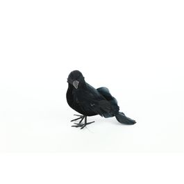 Corvo Black Preto