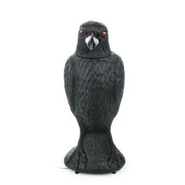 Corvo Preto Cinza