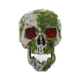 Cranio Musgo Verde Cinza