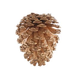 Pinha Decorativa  Ouro