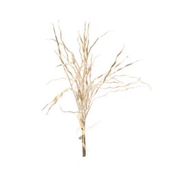 Galhos Decorativos Medio Champagne
