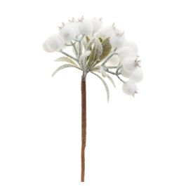 Galhos Decorativos Curto Branco