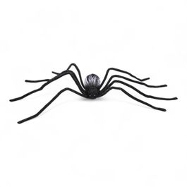 Aranha Aradia