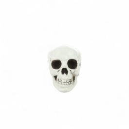 Cranio Branco