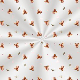 Saco Transparente Ursinhos