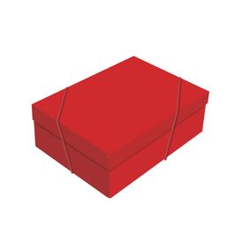 Caixa Retangular Com Tampa Charming Red Vermelho