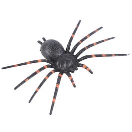 Aranha Listras Laranja