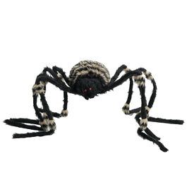 Aranha Listras Dourada